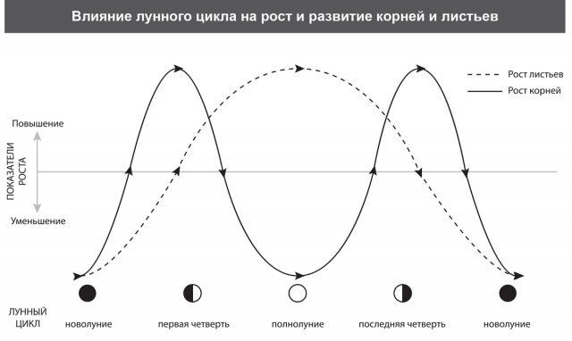 На каком рисунке верно изображена схема лунного затмения